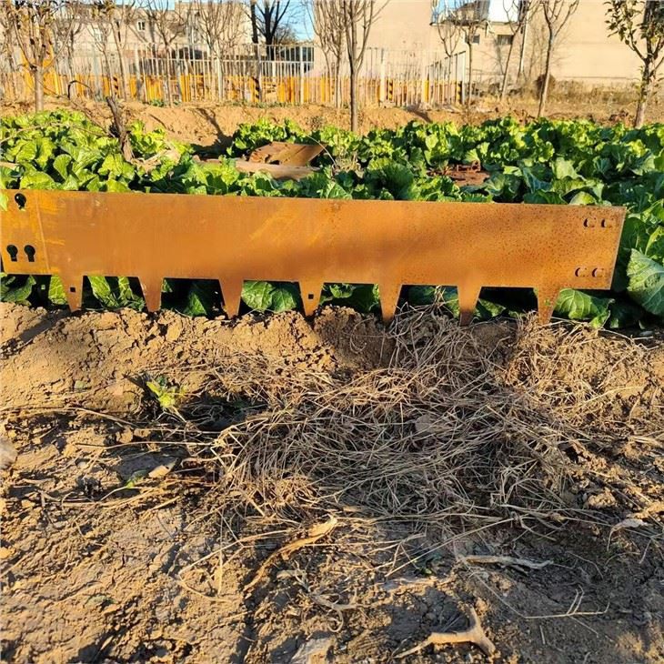 Lawn Edging Metal Garden Border