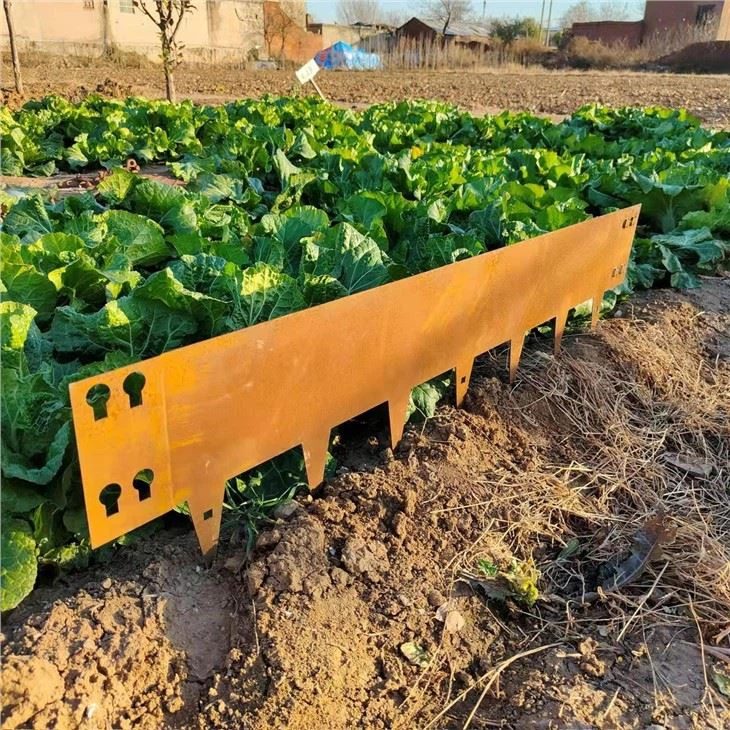 Lawn Edging Metal Garden Border