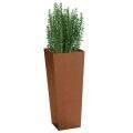 Square Plant Pots For Garden