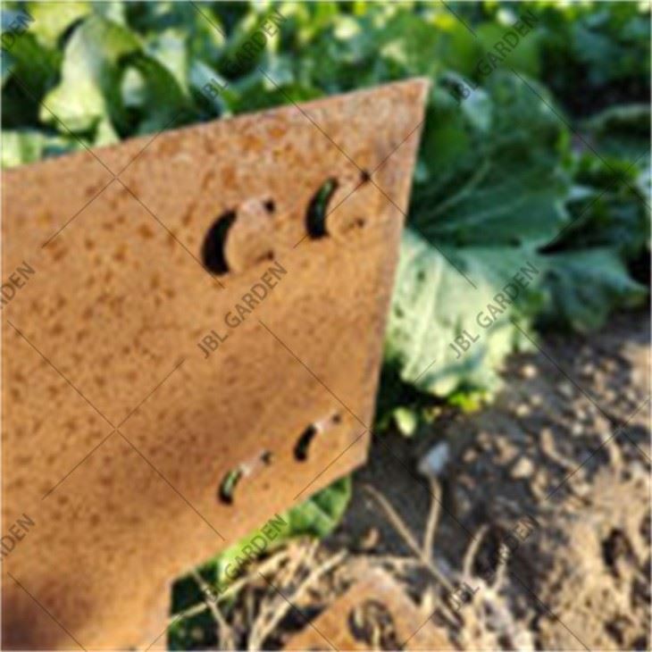 Corten Steel Border Edging