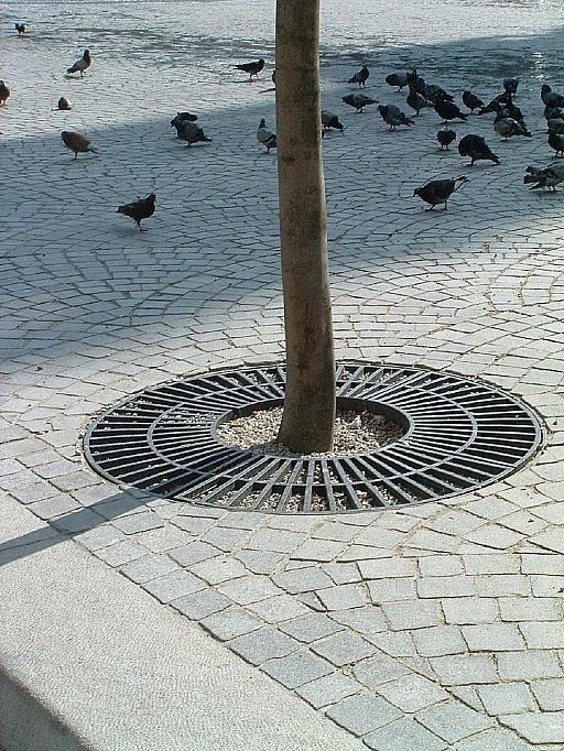 Garden Metal Tree Grates