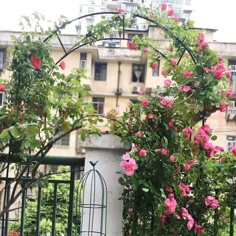 Outdoor Rust-Resistant Garden Archway